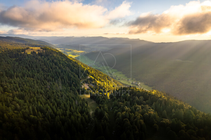 OTI_PIERRE-LONCHAMPT_PL250905-0310
