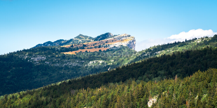 OTI_PIERRE-LONCHAMPT_PL230805-00813