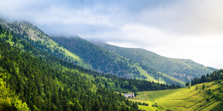 OTI_PIERRE-LONCHAMPT_PL240713-0449
