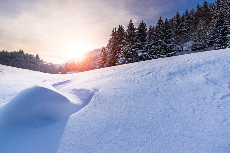 OTI_PIERRE-LONCHAMPT_PL171202-001