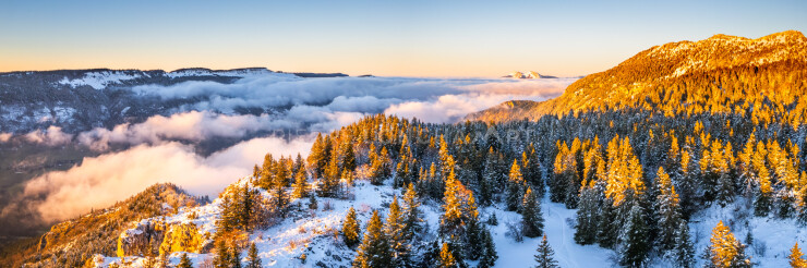 OTI_PIERRE-LONCHAMPT_PL231216-0791-PAN-D