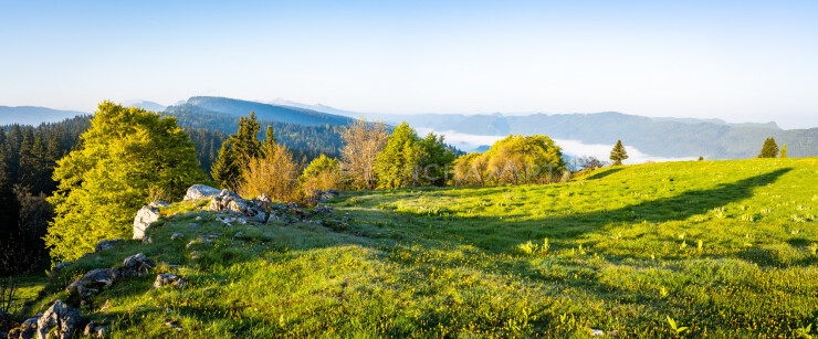 OTI_PIERRE-LONCHAMPT_PL230527-00139-PAN
