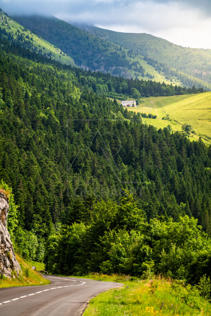 OTI_PIERRE-LONCHAMPT_PL240713-0448