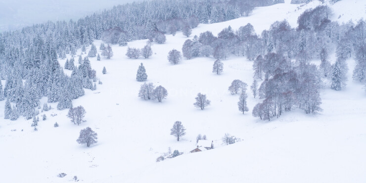 OTI_PIERRE-LONCHAMPT_PL221203-00115