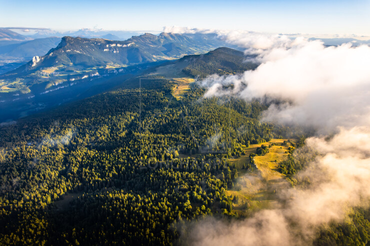 OTI_PIERRE-LONCHAMPT_PL250905-0293