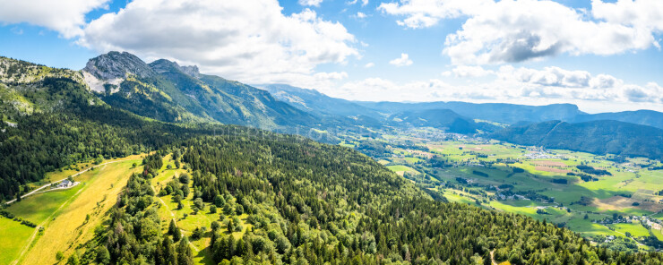OTI_PIERRE-LONCHAMPT_PL230805-0672-PAN-D
