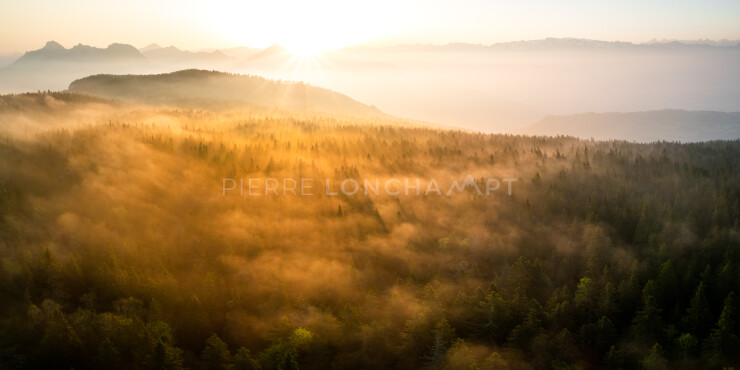 OTI_PIERRE-LONCHAMPT_PL230527-0527-PAN-D