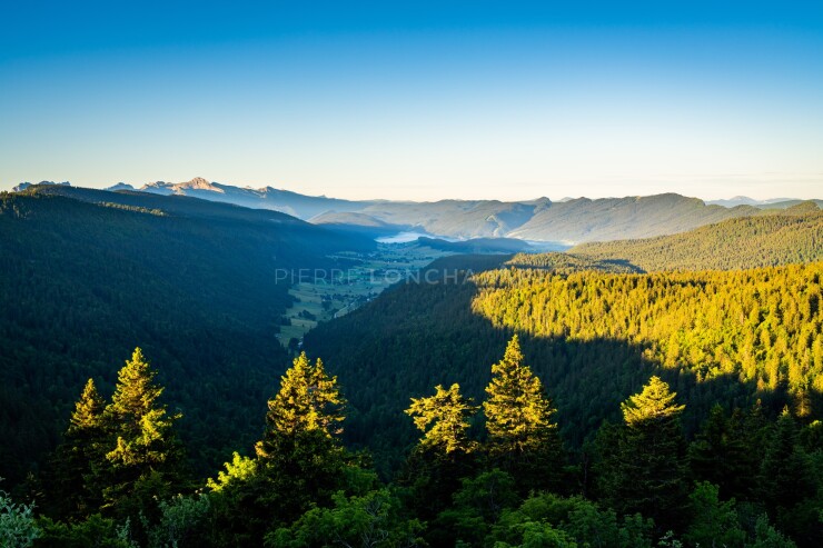 OTI_PIERRE-LONCHAMPT_PL220611-02656