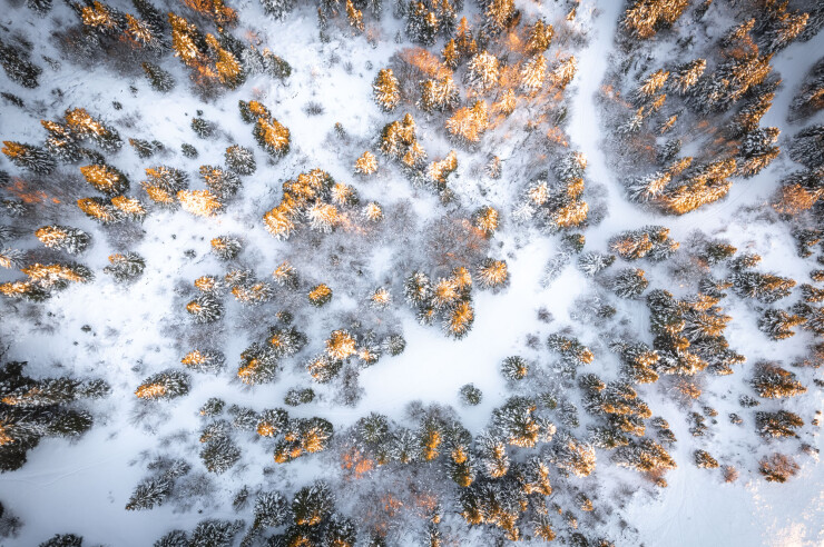 OTI_PIERRE-LONCHAMPT_PL231216-0812-D