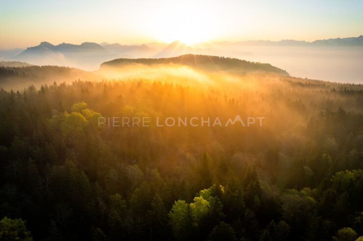 OTI_PIERRE-LONCHAMPT_PL230527-0519-D