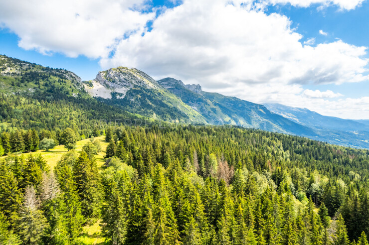 OTI_PIERRE-LONCHAMPT_PL230805-0677-D