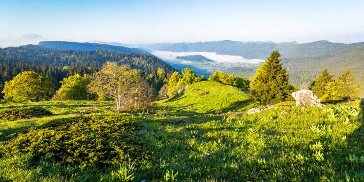 OTI_PIERRE-LONCHAMPT_PL230527-00155-PAN