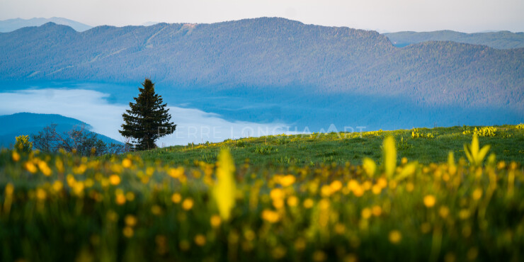 OTI_PIERRE-LONCHAMPT_PL230527-00103