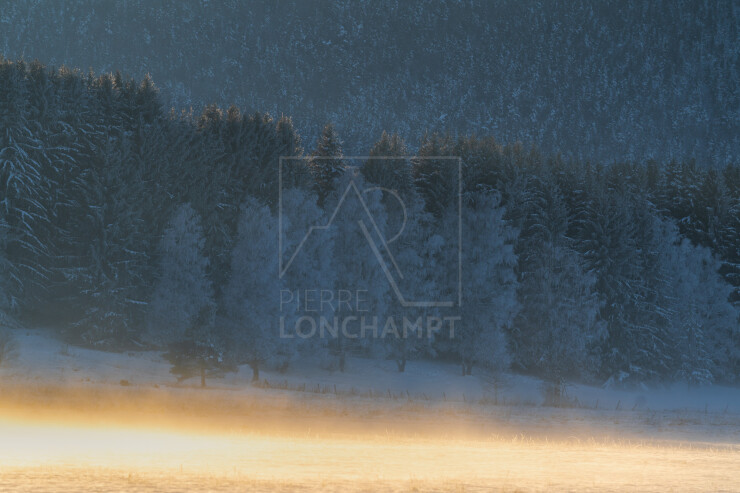 OTI_PIERRE-LONCHAMPT_PL240113-02412