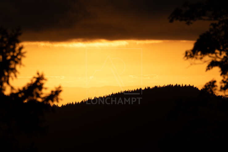 OTI_PIERRE-LONCHAMPT_PL250905-0166