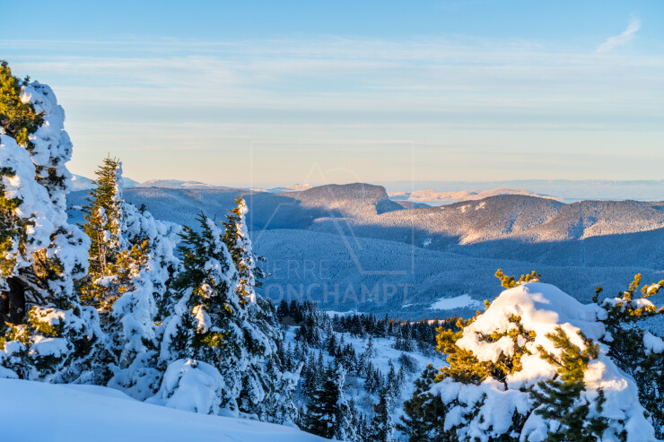 OTI_PIERRE-LONCHAMPT_PL240113-02392