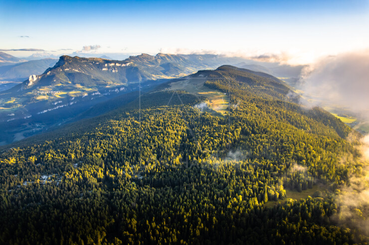 OTI_PIERRE-LONCHAMPT_PL250905-0304