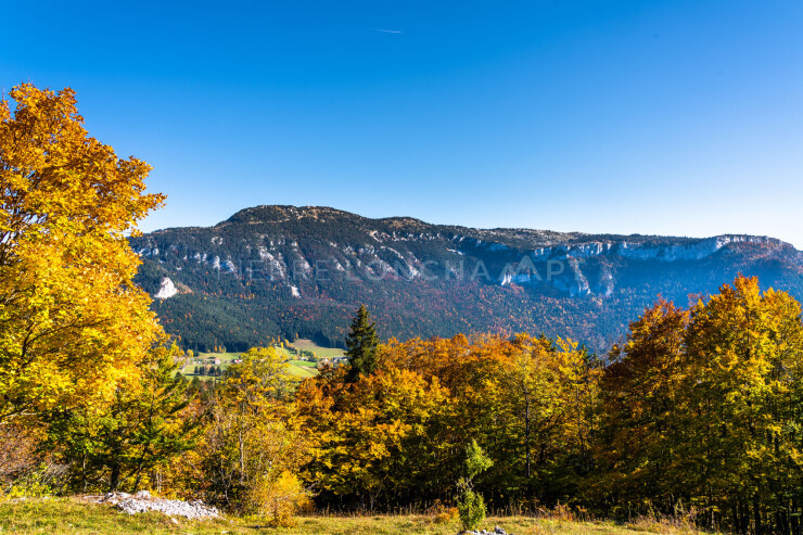 OTI_PIERRE-LONCHAMPT_PL211023-003