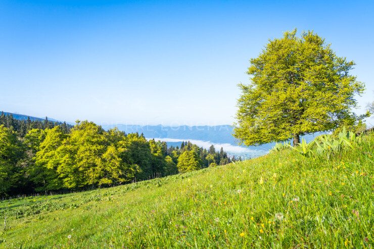 OTI_PIERRE-LONCHAMPT_PL230527-00182