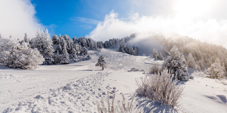 OTI_PIERRE-LONCHAMPT_PL171203-002