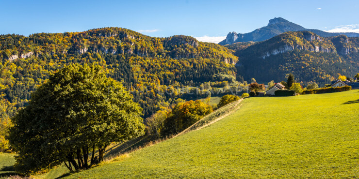 OTI_PIERRE-LONCHAMPT_PL221022-01116