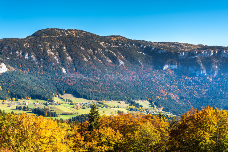 OTI_PIERRE-LONCHAMPT_PL211023-001