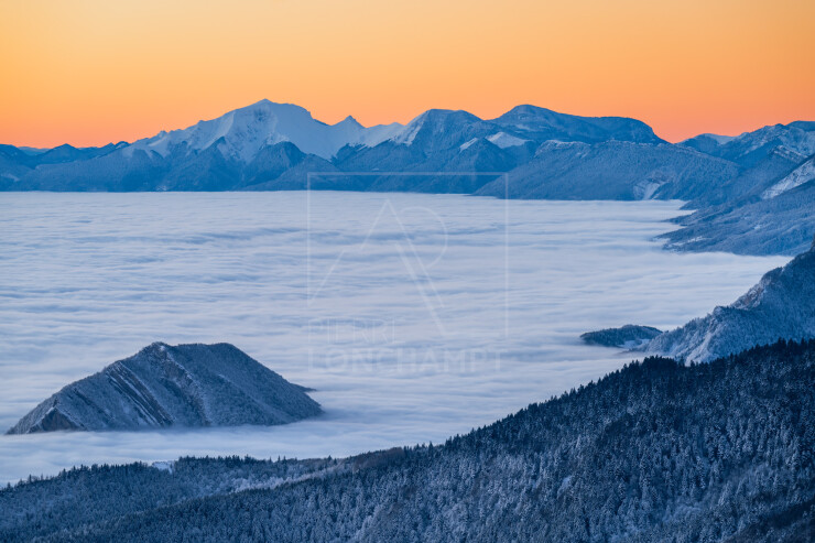 OTI_PIERRE-LONCHAMPT_PL240113-02375