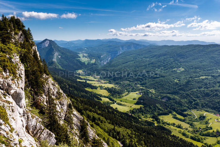 OTI_PIERRE-LONCHAMPT_PL200524-001