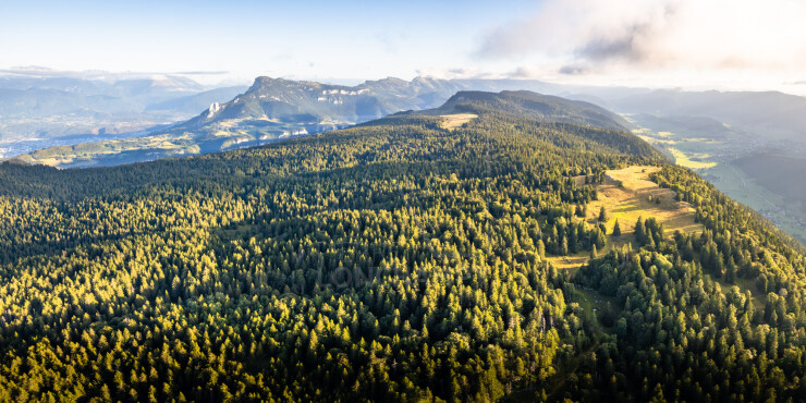 OTI_PIERRE-LONCHAMPT_PL250905-0285-PAN