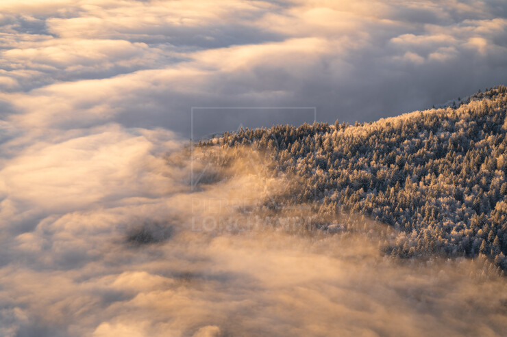 OTI_PIERRE-LONCHAMPT_PL240113-02388