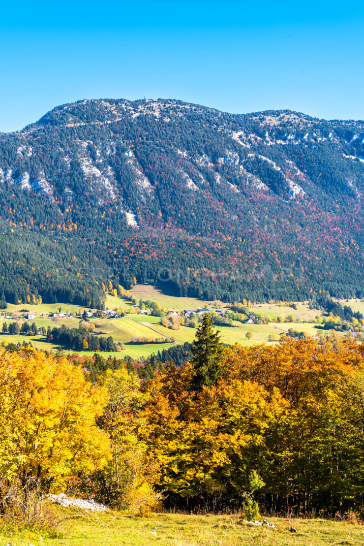 OTI_PIERRE-LONCHAMPT_PL211023-002