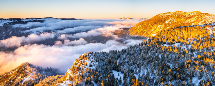 OTI_PIERRE-LONCHAMPT_PL231216-0808-PAN-D