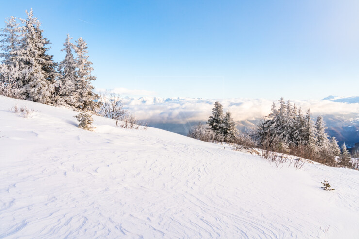 OTI_PIERRE-LONCHAMPT_PL241224-1501