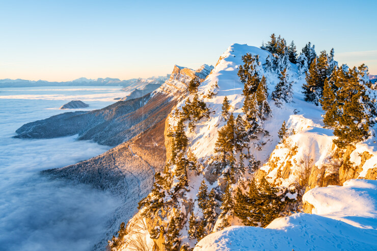 OTI_PIERRE-LONCHAMPT_PL240113-02384