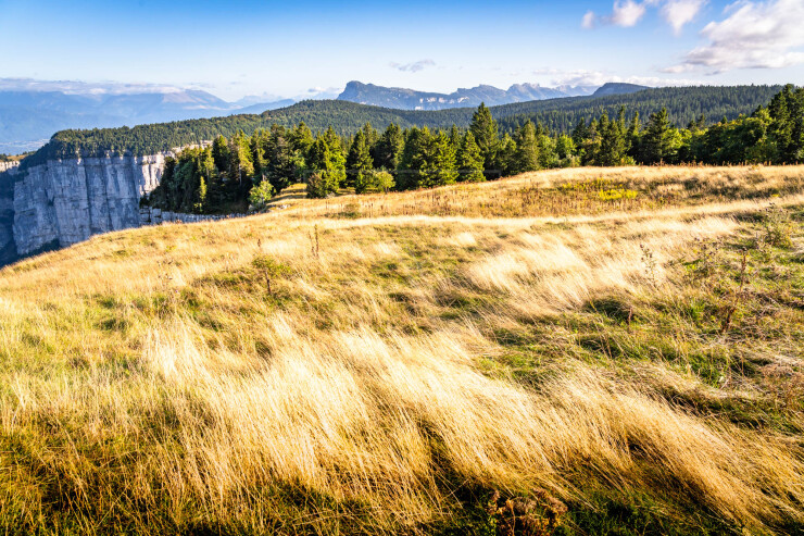 OTI_PIERRE-LONCHAMPT_PL250905-0130