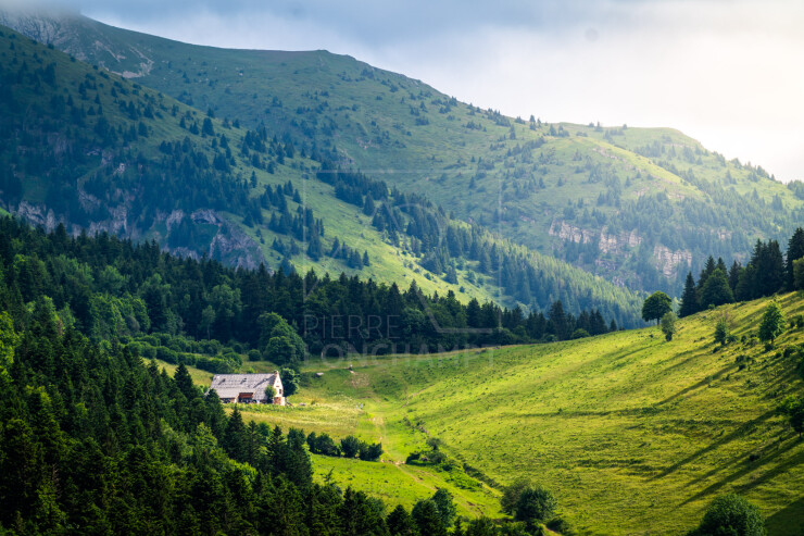 OTI_PIERRE-LONCHAMPT_PL240713-0447