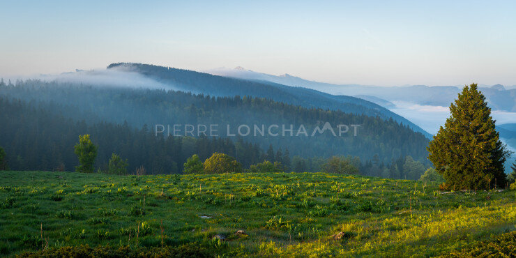 OTI_PIERRE-LONCHAMPT_PL230527-00107-PAN