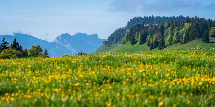 OTI_PIERRE-LONCHAMPT_PL230527-00191
