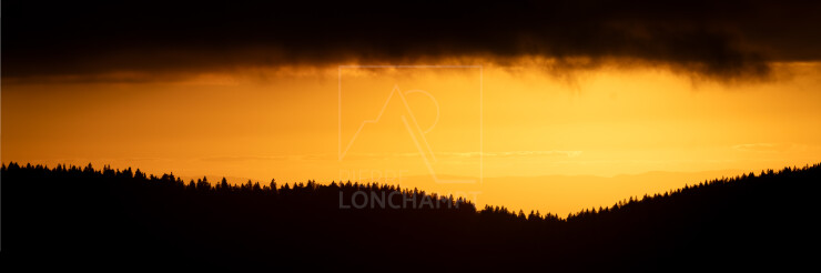 OTI_PIERRE-LONCHAMPT_PL250905-0162-PAN