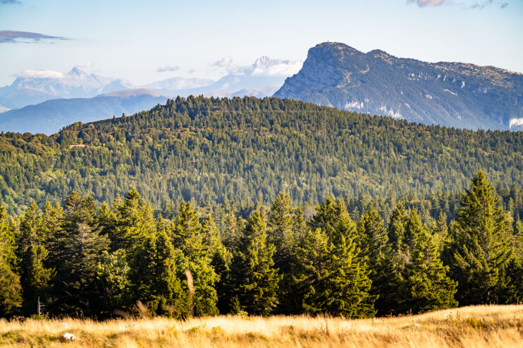 OTI_PIERRE-LONCHAMPT_PL250905-0120