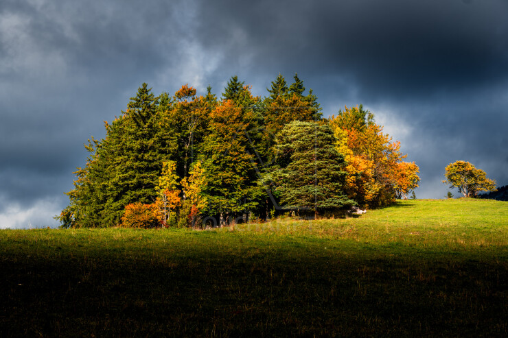 OTI_PIERRE-LONCHAMPT_PL251005-DSC9938