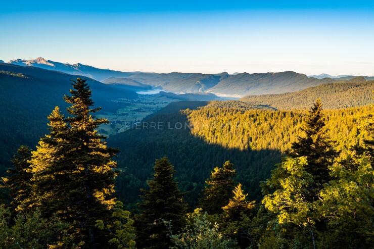 OTI_PIERRE-LONCHAMPT_PL220611-02659