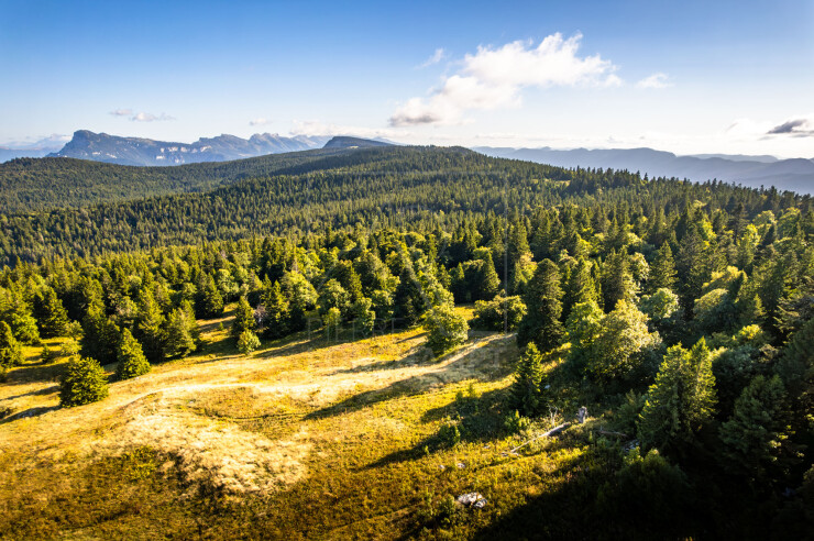 OTI_PIERRE-LONCHAMPT_PL250905-0237