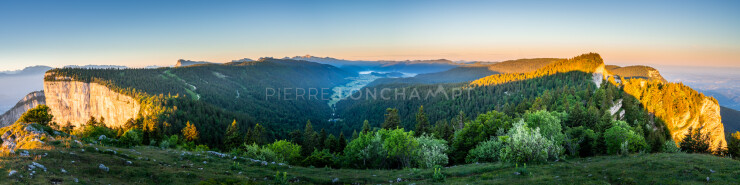 OTI_PIERRE-LONCHAMPT_PL220611-02626-PAN