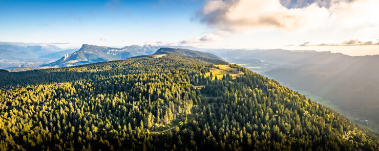 OTI_PIERRE-LONCHAMPT_PL250905-0283-PAN