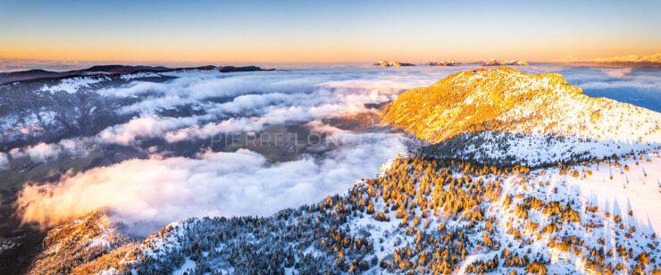 OTI_PIERRE-LONCHAMPT_PL231216-0822-PAN-D