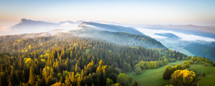 OTI_PIERRE-LONCHAMPT_PL230527-0548-PAN-D