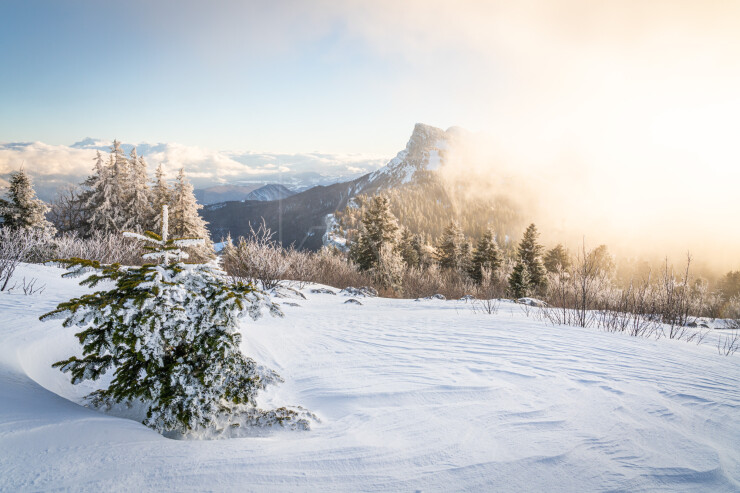 OTI_PIERRE-LONCHAMPT_PL241224-1502
