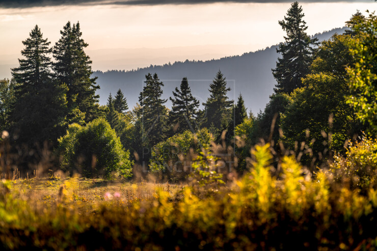 OTI_PIERRE-LONCHAMPT_PL250905-0149