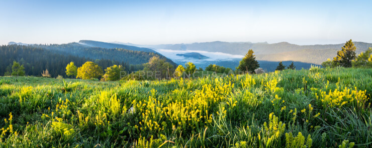 OTI_PIERRE-LONCHAMPT_PL230527-00127-PAN